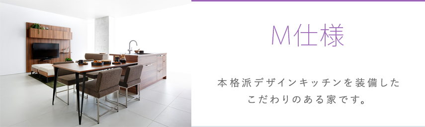M仕様