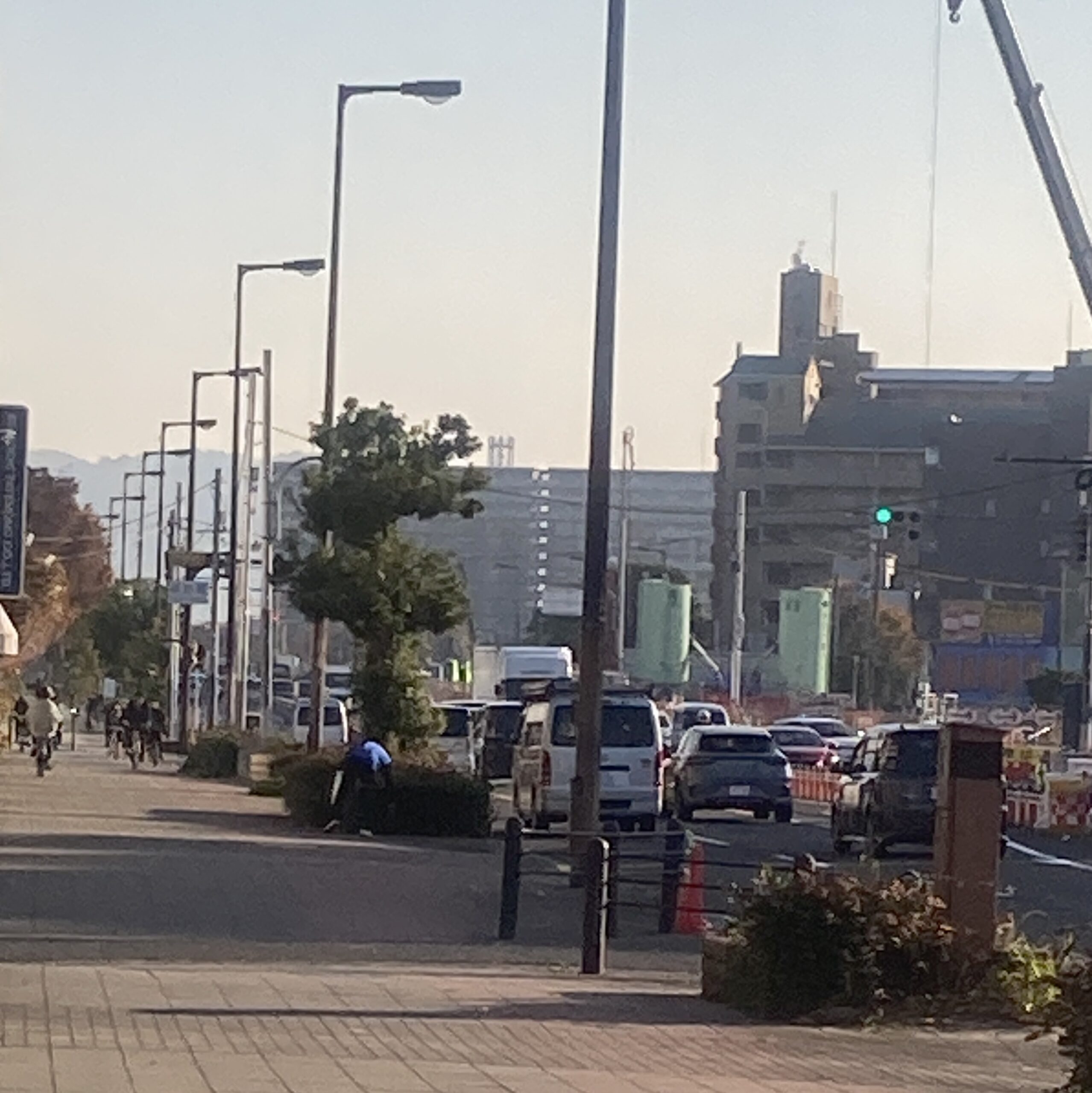 12月になりました🎄