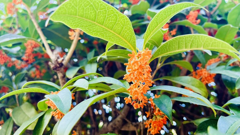 サイディング　一部変更のお知らせ📢