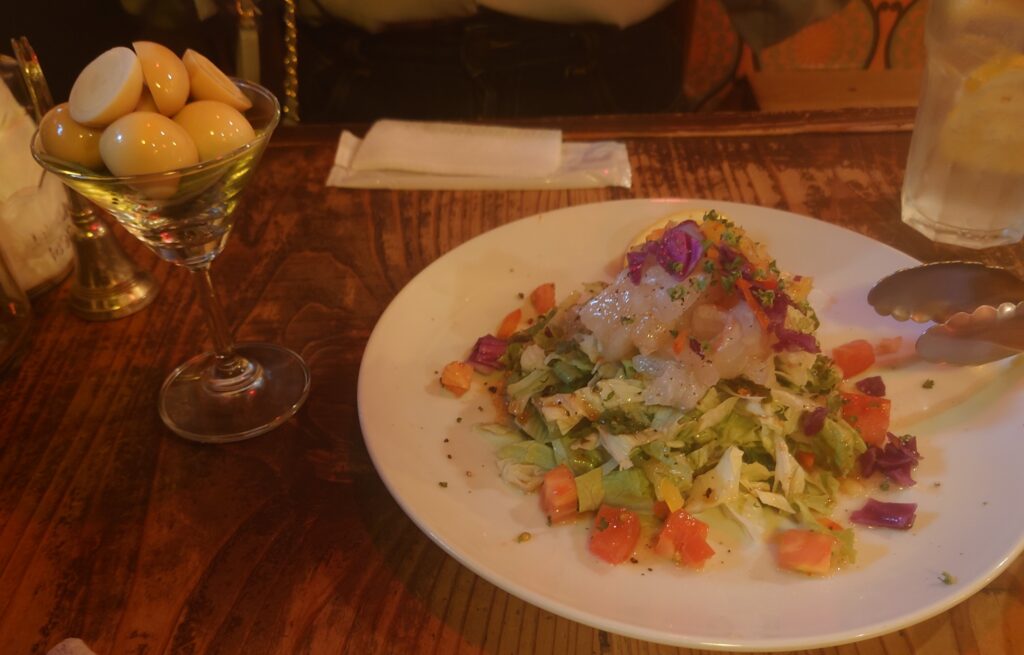 はじめまして🌸