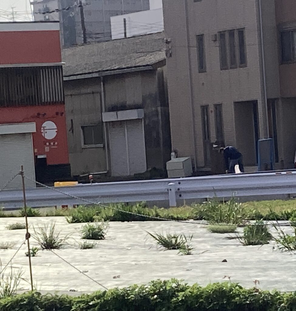 ダウンライトの位置🔦