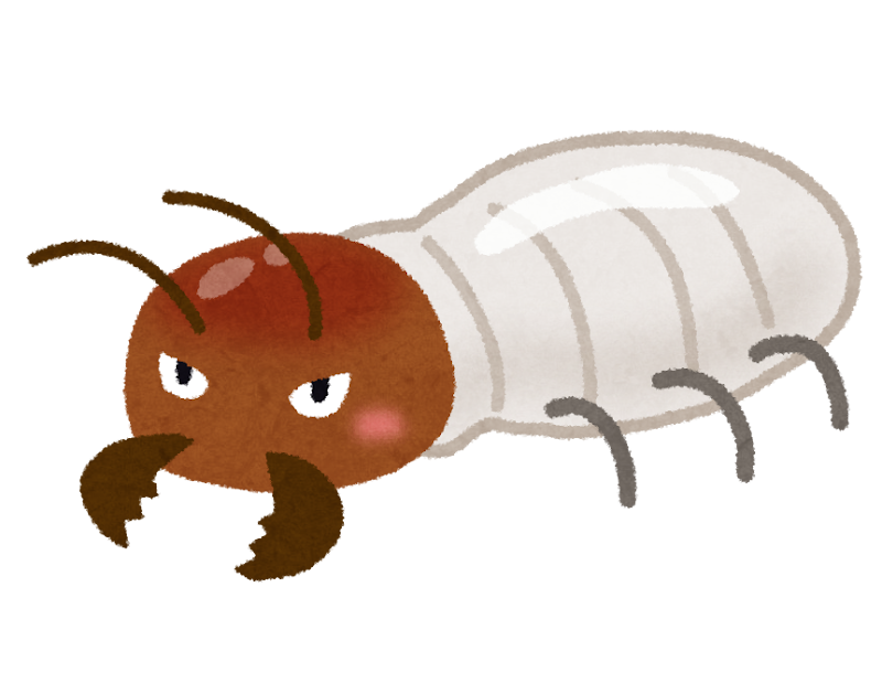 シロアリに気をつけましょう🐜
