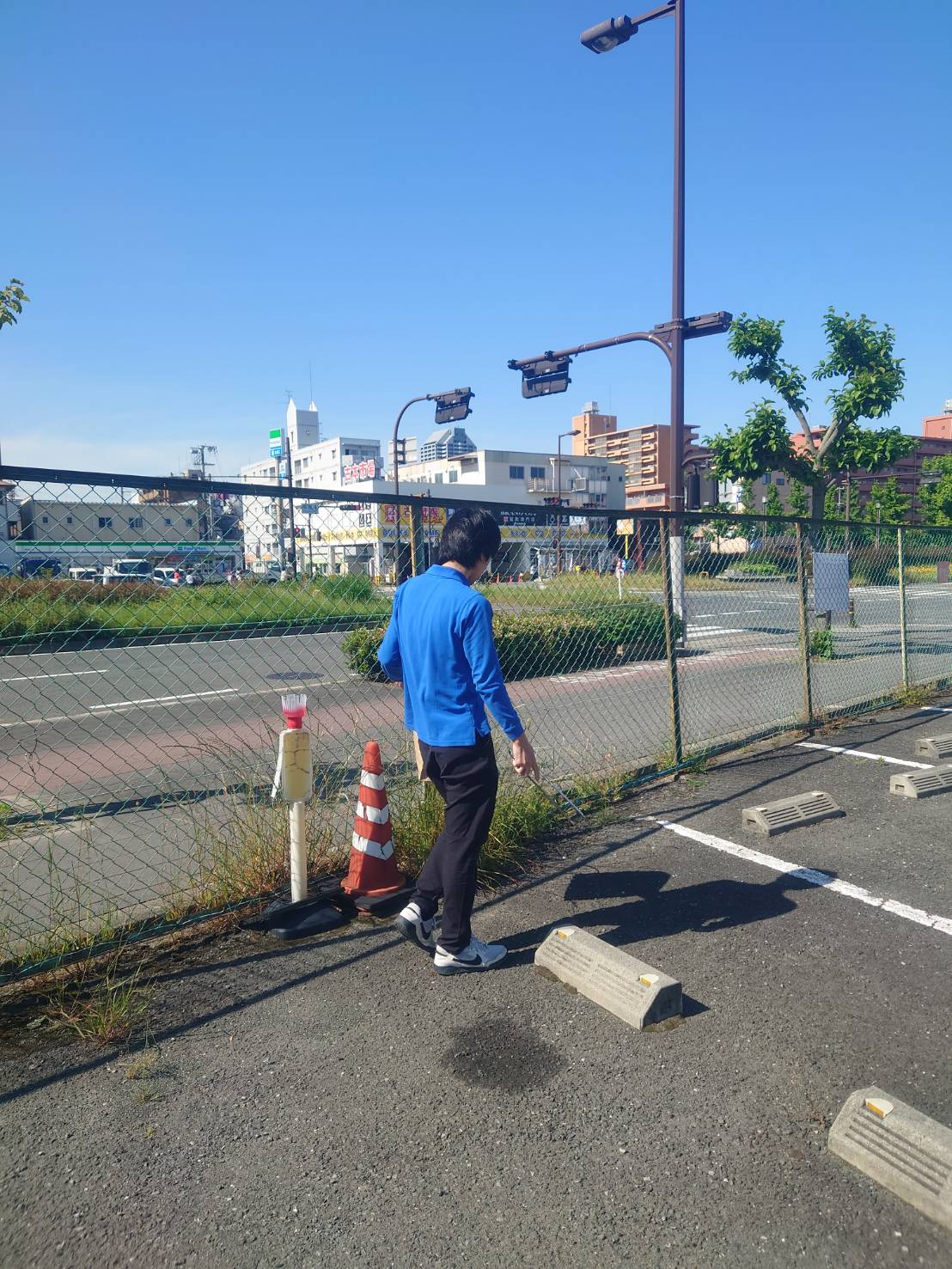 人気旅行先ランキング🚞🌻